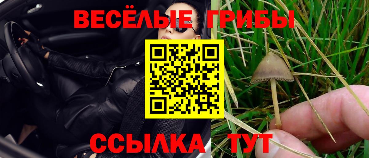 Галлюциногенные грибы Psilocybe  цены   Лесозаводск  Вход с VPN 
